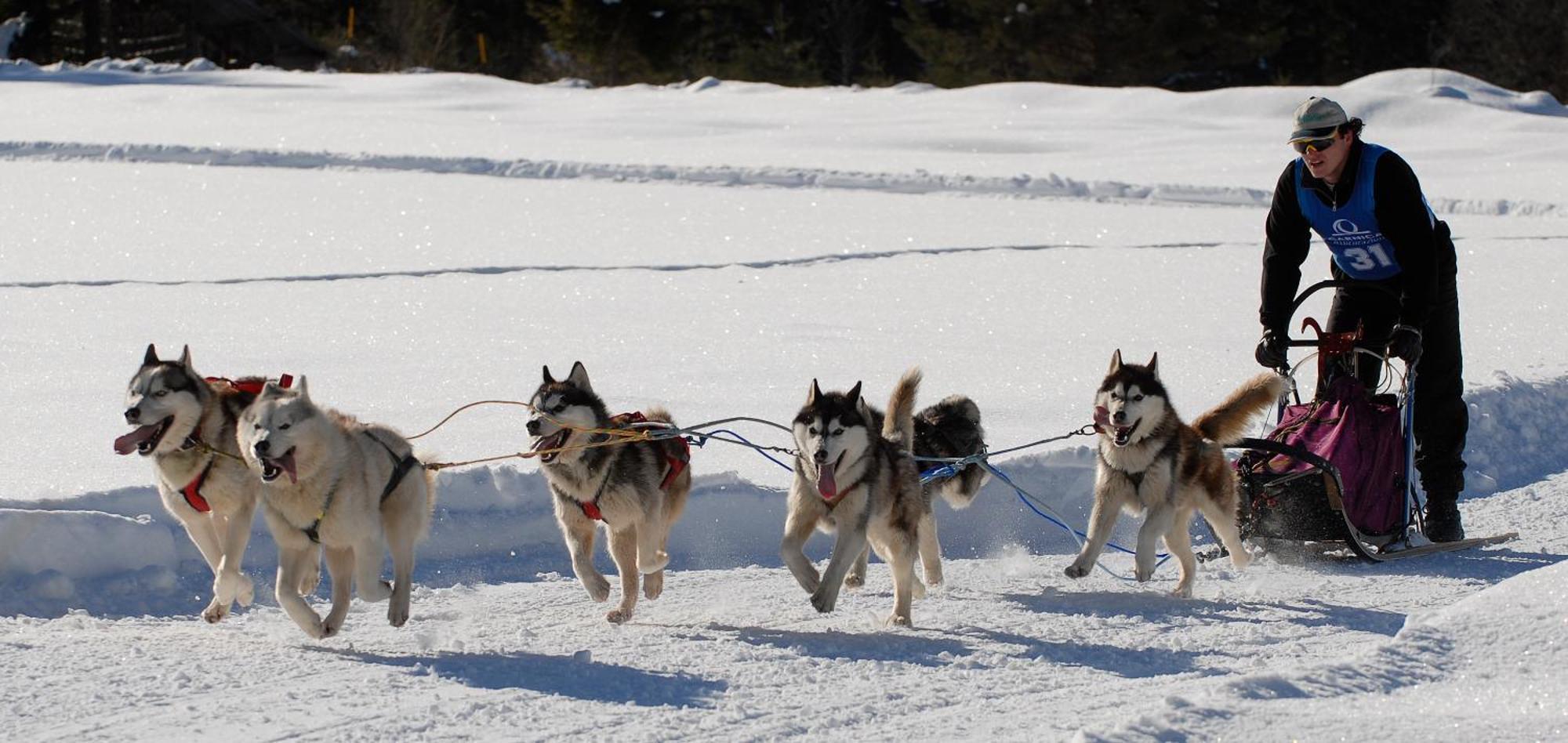 Al Casello Tarvisio Luaran gambar