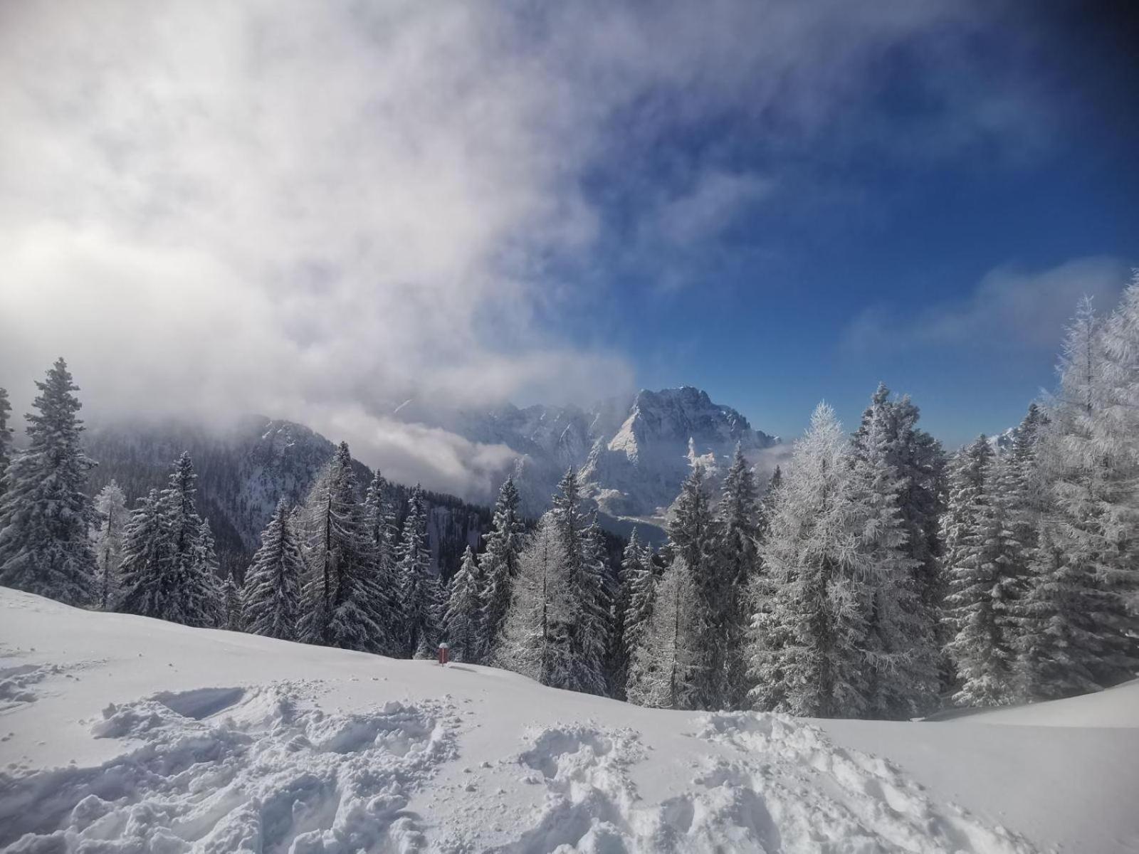 Al Casello Tarvisio Luaran gambar